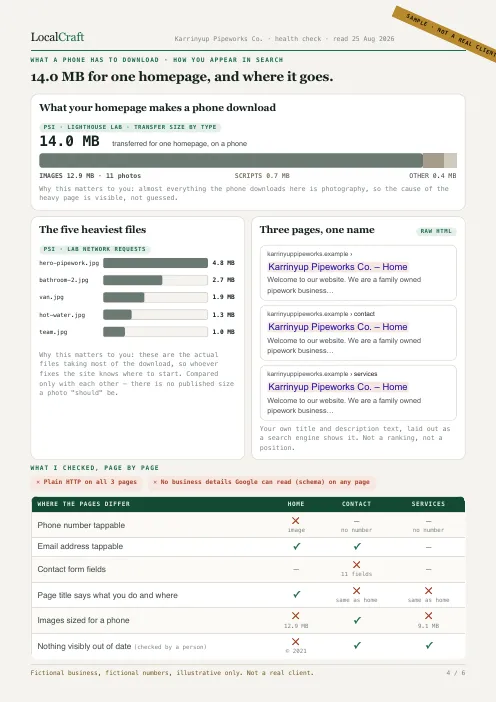 Page 4 of the sample report: homepage download weight and search appearance.